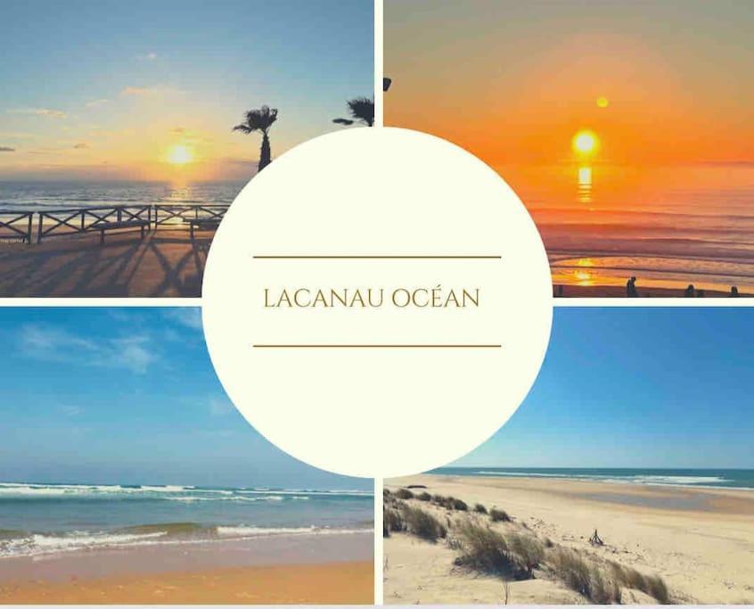 Cosy Studio Avec Vue Sur L'Ocean Lacanau Exterior foto